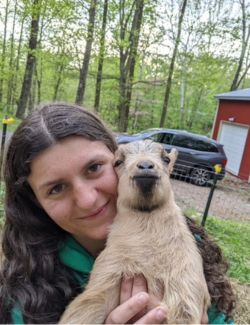 Sadie - Taking the lead